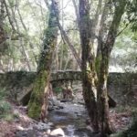 E-bike tour from Omodos to Milomeris Waterfall-Milia Bridge through Platres. - Key Points