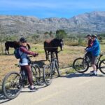 E-Bike Tour + Gourmet Snack + Wine Tasting (Small Group) - What Makes This Tour a Great Value