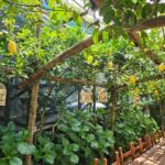 E-Bike Tour in the Sorrento Peninsula and Visit to Acetaia - Practical Details: What to Expect