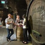 E-Bike Wine Culture Tour - Practical Info for Travelers