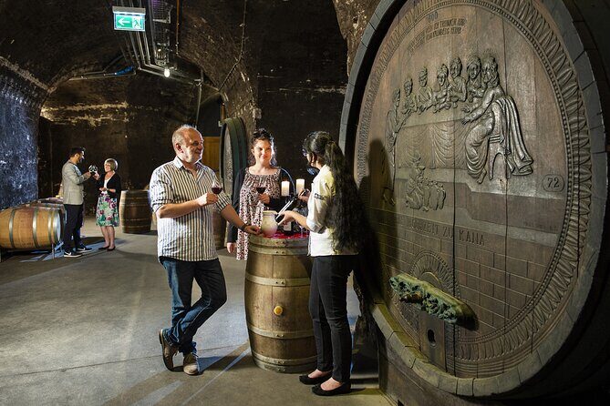 E-Bike Wine Culture Tour - Practical Info for Travelers