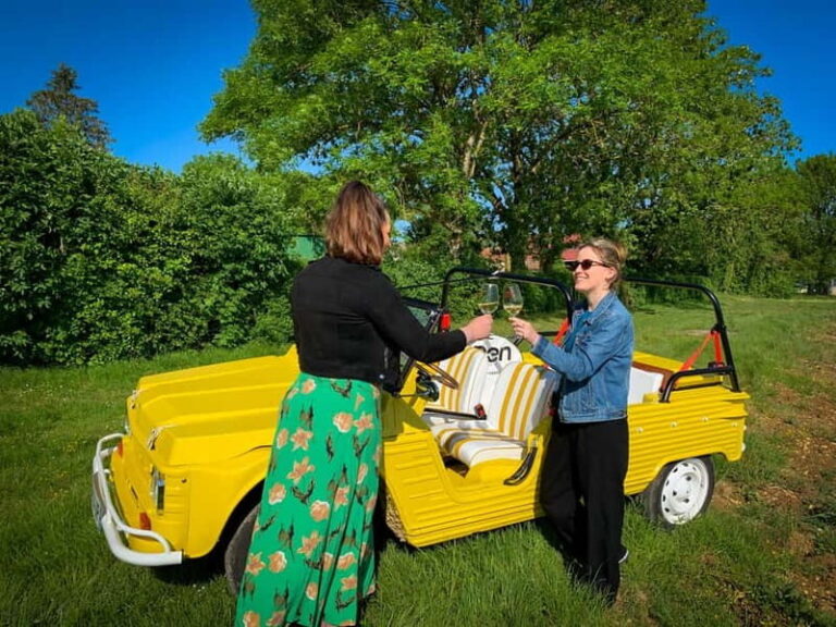 e-Mehari Tour and tasting Chablis Clotilde Davenne - Practical Details and Tips