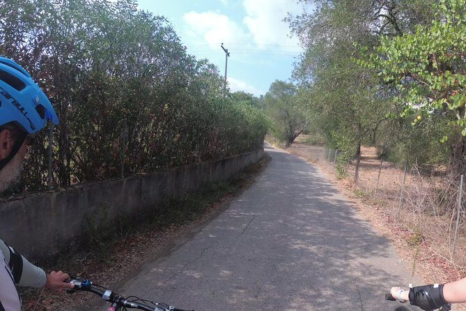 e-MTB Tour - Durrells Farm & Crab Lake [30Km - 18Mi] - A Detailed Breakdown of the Tour