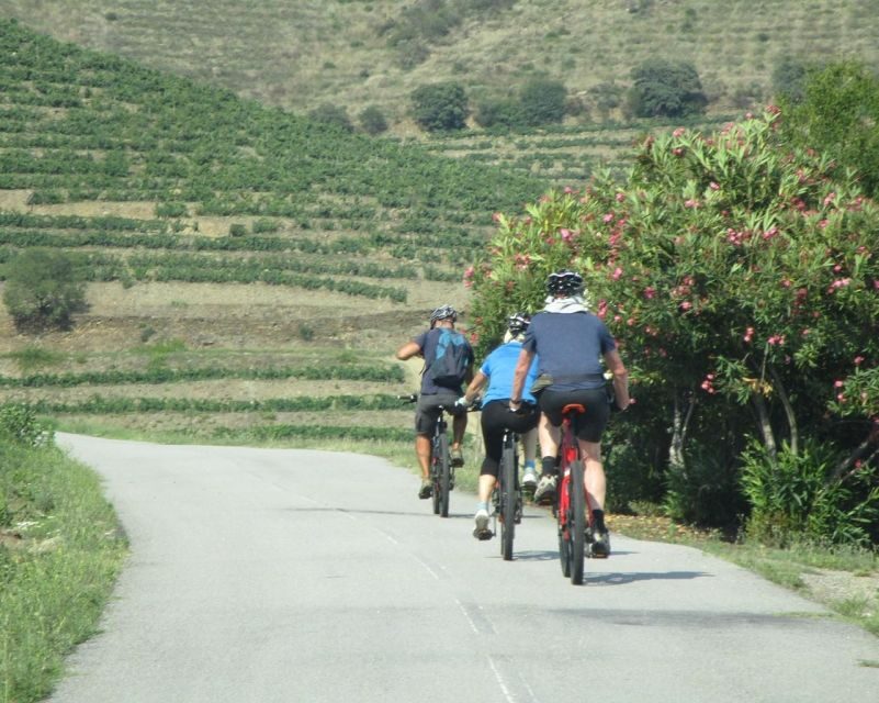 E-MTB - Vineyards Douro Tour - What Makes This Tour Stand Out