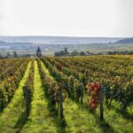 E-Scooter Private Tour and Tasting - FAQ