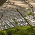 E-ticket to Berlin Botanical Garden with Audio Tour - Worth the Price?