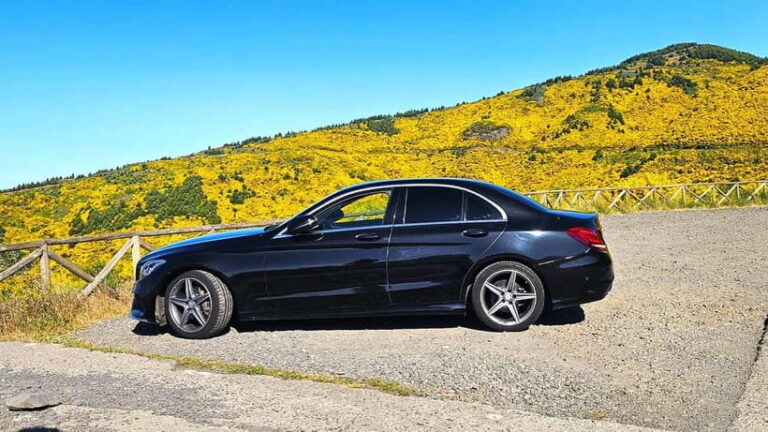 East Madeira: Private Tour with Views & History - Who Should Consider This Tour?