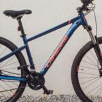 East Sussex: Lapierre Edge 2.9 Mountain Bike Rental 2 hours - The Experience Breakdown