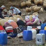 Eastern Turkey 12-Day Sightseeing Tour from Trabzon - First Impressions and Overall Value