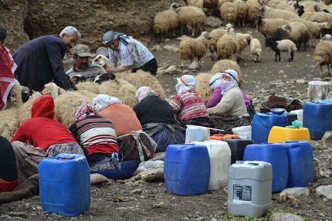 Eastern Turkey 12-Day Sightseeing Tour from Trabzon - First Impressions and Overall Value