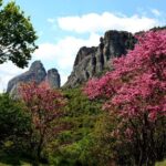 Easy Hiking Adventure at Meteora - Who This Tour Is Best For