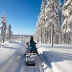 Easy Snowmobile Safari - An In-Depth Look at the Snowmobile Safari Experience
