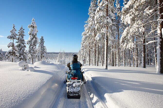 Easy Snowmobile Safari - An In-Depth Look at the Snowmobile Safari Experience