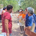 Eat in the vineyards like a Duriense - Practical Considerations and Tips