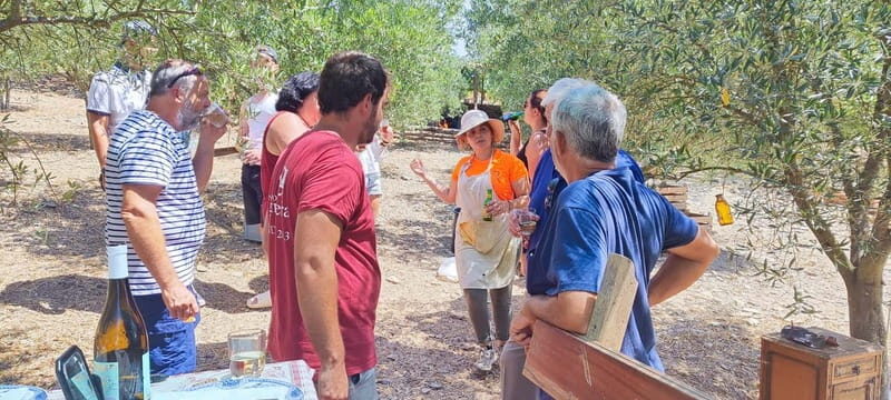 Eat in the vineyards like a Duriense - Practical Considerations and Tips