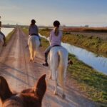Ebro Delta National Park: Guided Horseback Riding Tour - A Relaxing Ride Through Nature and Culture
