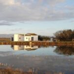 Ebro Delta: Northern Delta Guided Tour with a Local - Why This Tour Delivers Value