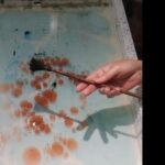 Ebru Marble Art / Ancient technique of marble painting on water - Why This Experience Works for Different Travelers