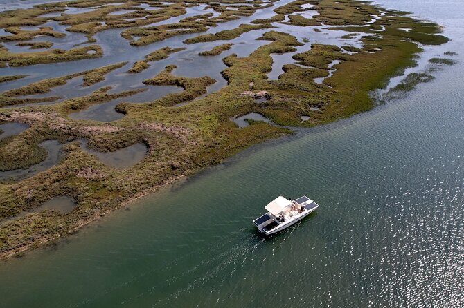 Eco Boat Tour in the Ria Formosa Lagoon from Faro - The Sum Up