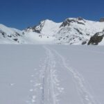Eco friendly snowshoeing in Scenic Landscape - Exploring the Itinerary: What You Can Expect
