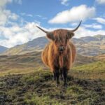 Edinburgh: Eilean Donan, Loch Ness & Glenfinnan - 2 Day Tour - What Do Travelers Say?