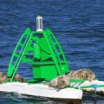 Edinburgh: 'Firth of Forth' Three Bridges Sightseeing Cruise - Final Thoughts