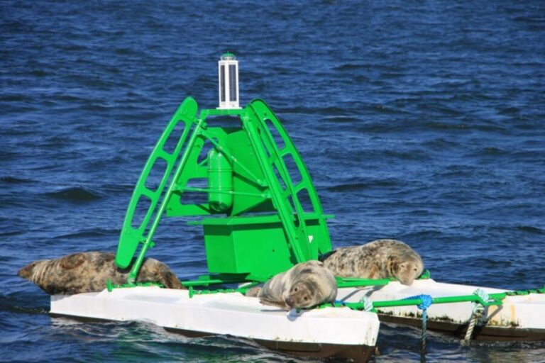 Edinburgh: 'Firth of Forth' Three Bridges Sightseeing Cruise - Final Thoughts