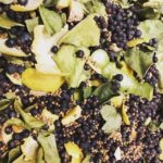 Edinburgh: Guided Gin Tasting at 56 North Distillery - The Value of the Experience