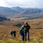 Edinburgh: Highland Cow Hike - Key Points