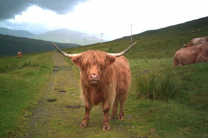 Edinburgh: Private Loch Ness Glencoe and The Highlands Tour - Transportation and Group Size