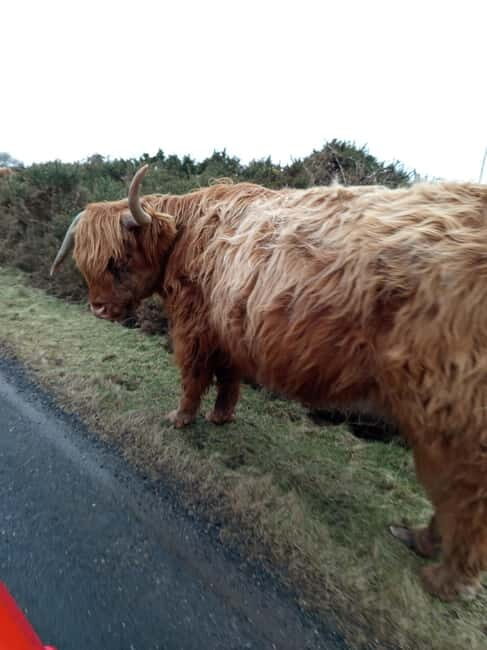 Edinburgh: Stirling, Highlands, Loch Ness, Mull 5-Day Tour - What Makes This Tour Stand Out?