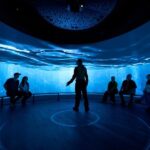 Edinburgh: The Scotch Whisky Experience Tour and Tasting - Who Will Love This Tour?