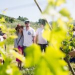 Educational Olive Oil Tasting - Value and Practical Considerations