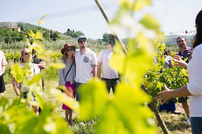 Educational Olive Oil Tasting - Value and Practical Considerations