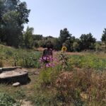 Educational visit of a Certified Organic Micro Farm in Trancoso - Who Will Love This Tour?