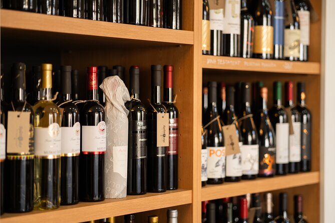 Educational wine tasting in Split - What You Can Expect During the Tour