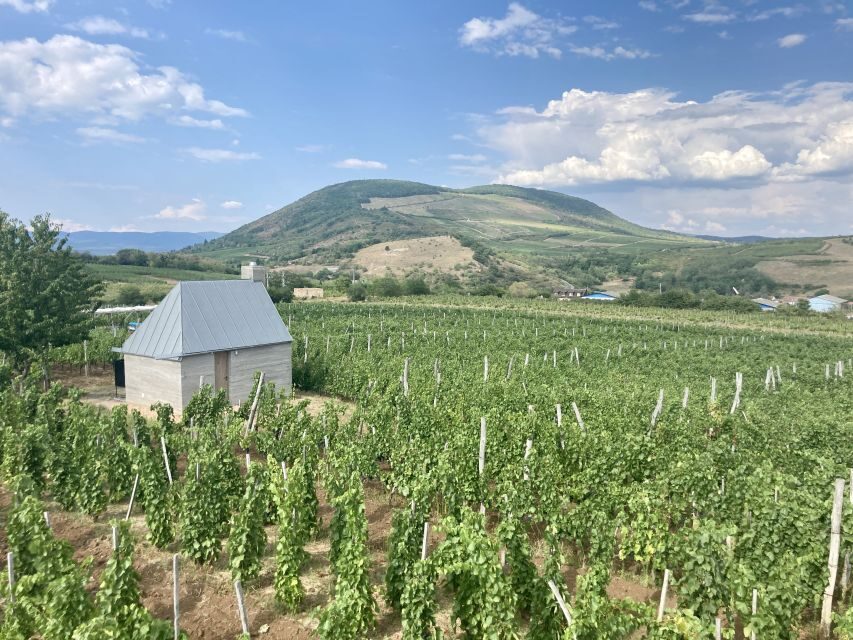 Eger: Countryside, Culture, and Wine Private Tour - Wine Tasting in the Valley of the Beautiful Women