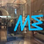 Egyptian Museum of Turin with local Museum Guide including tickets - What the Reviews Reveal