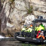 Eidfjord: 1-Hour Fjord RIB Tour - Value for Money and Overall Impression