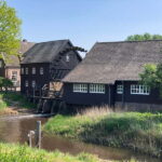 Eindhoven: E-Fatbike Tour The Footsteps Of Vincent van Gogh - Why This Tour Works Well