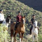 El Salobre: Horse Riding Adventure with Transfer Options - What to Expect During the Ride