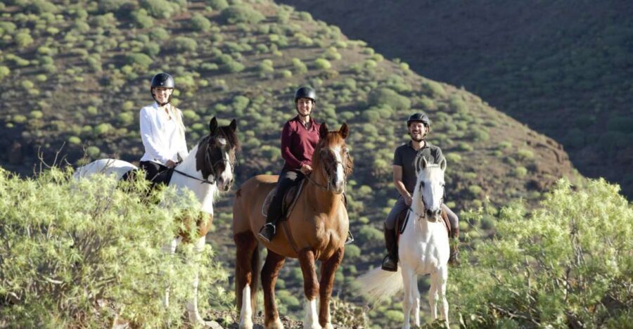 El Salobre: Horse Riding Adventure with Transfer Options - What to Expect During the Ride