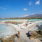 Elafonissi Beach From Rethimno - Pricing and Value