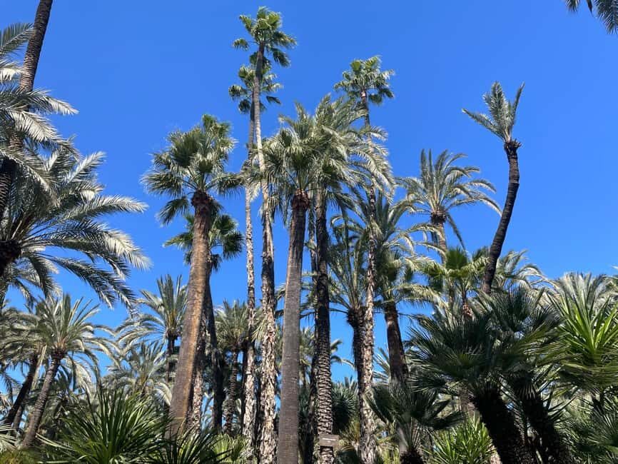 Elche: Entry Ticket Huerto del Cura National Artistic Garden - Final Thoughts