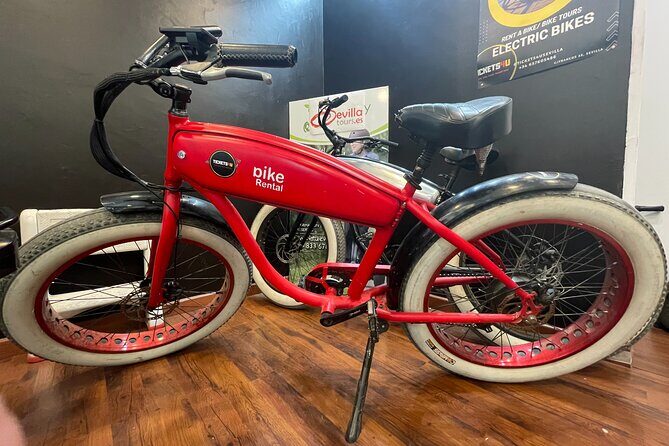 Electric Bicycle Rental in Seville - Who Should Consider This Experience?