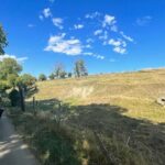 Electric bike rental in Paris - Who Is This Experience Best For?