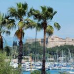Electric Escape from Nice: St-Paul, Cannes & Antibes - Who Is This Tour Best Suited For?
