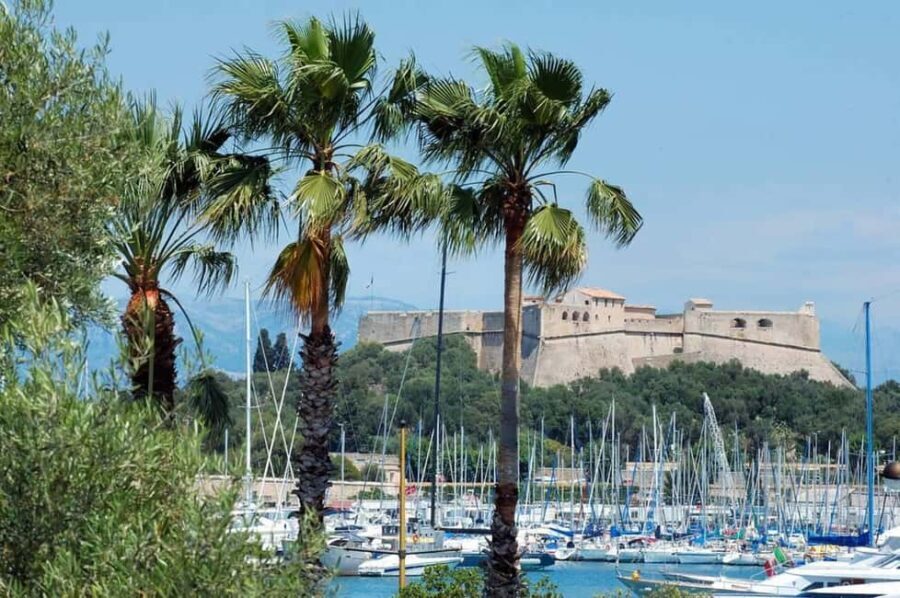 Electric Escape from Nice: St-Paul, Cannes & Antibes - Who Is This Tour Best Suited For?
