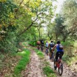 Eleftherna E-Bike and MTB Tour - Experience The Authentic Crete - Key Points