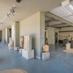 Elis: Tour of the Ancient Site & Museum by an Archaeologist - The Museum: Artifacts That Tell a Thousand Stories